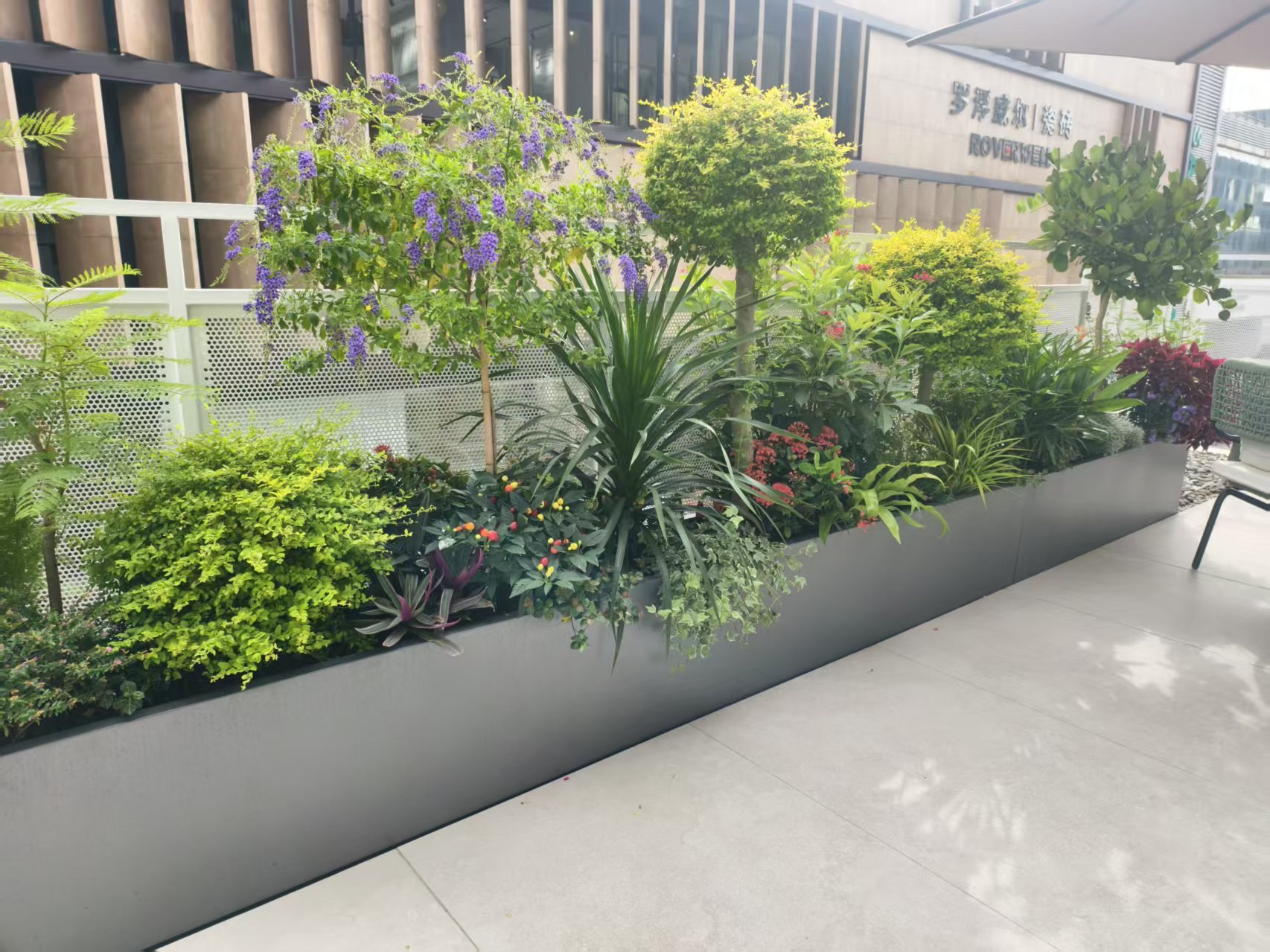 高层的小乔木与球形灌木种植在金属花槽内,背后是建筑立面