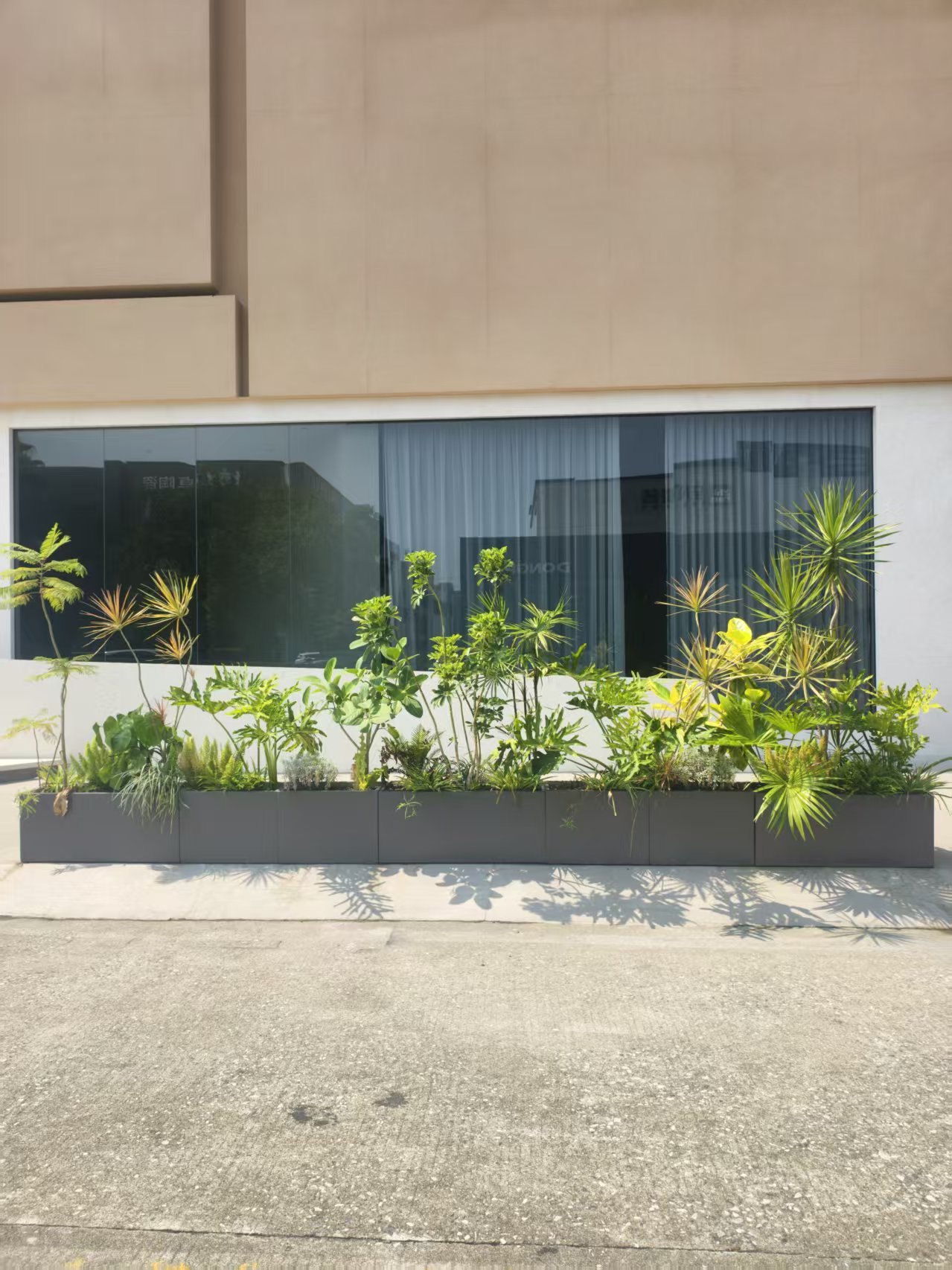 长条灰色种植槽与建筑窗线平行,植物高低有节奏,影子落在铺装上